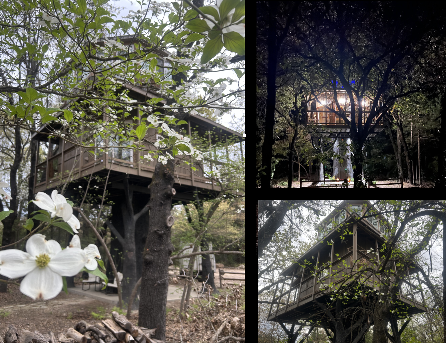 MoonHoneyTreehouseTop