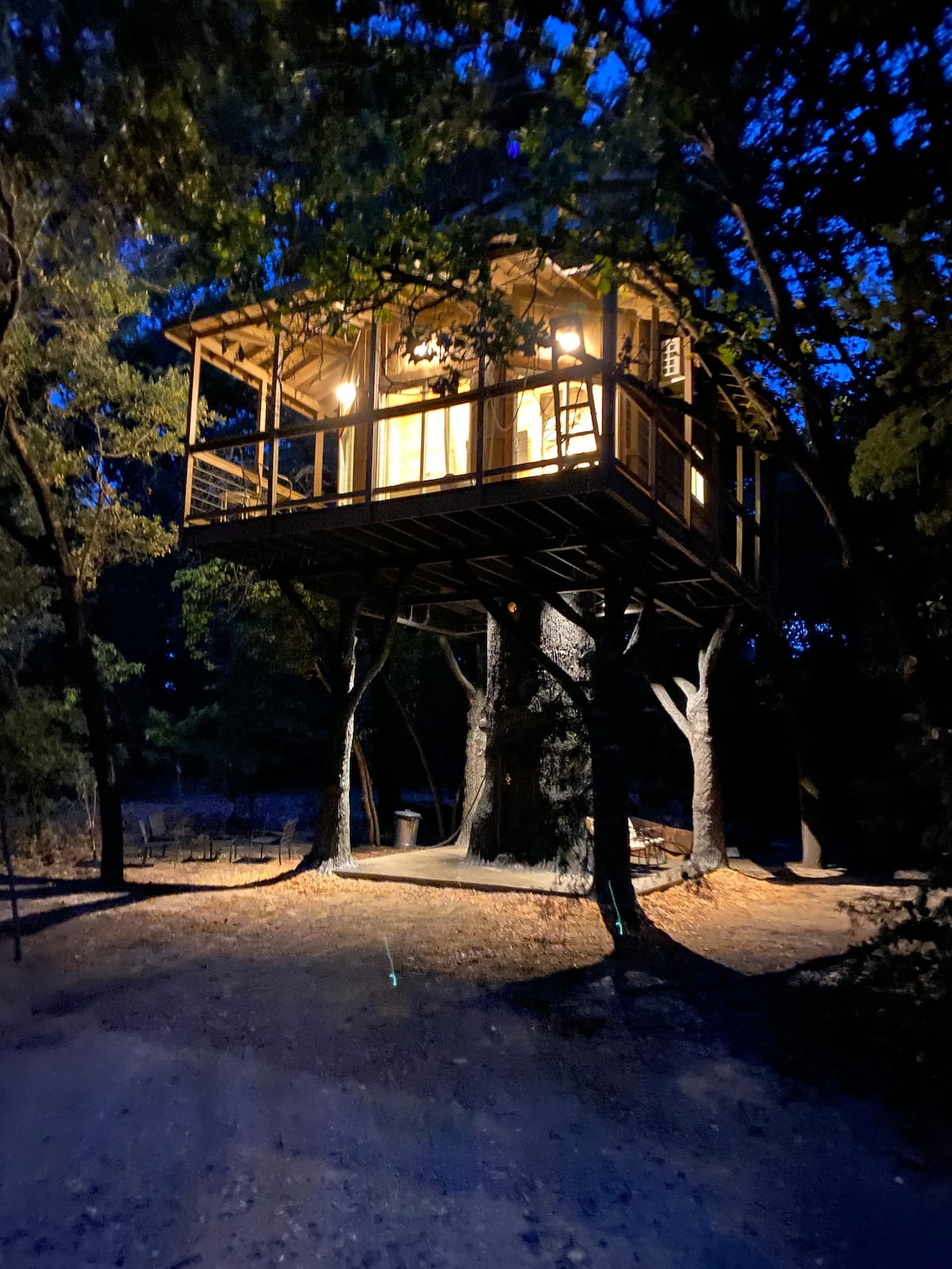 Moon Honey Treehouse lit up among the pines at night