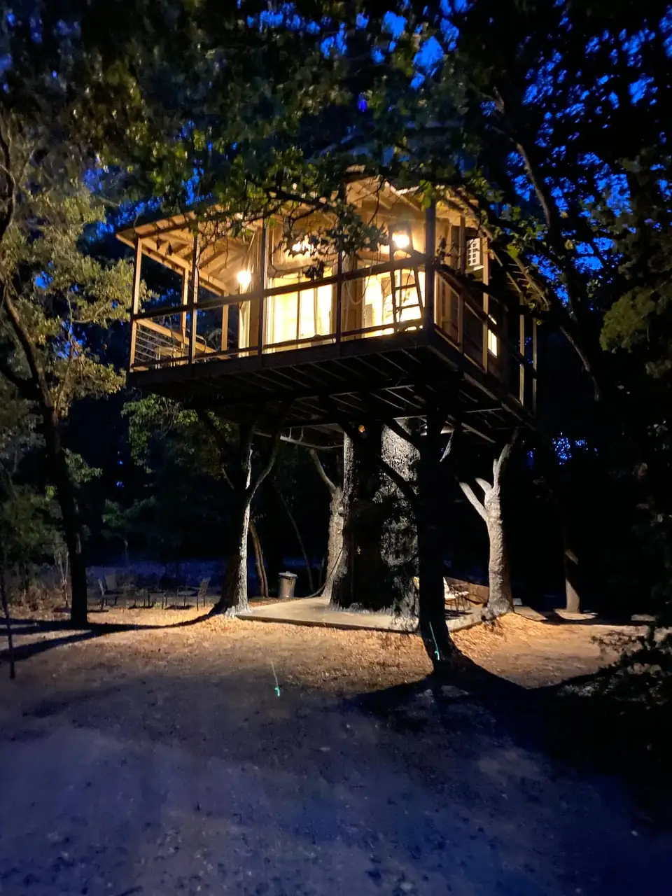 Moon Honey Treehouse lit up among the pines at night